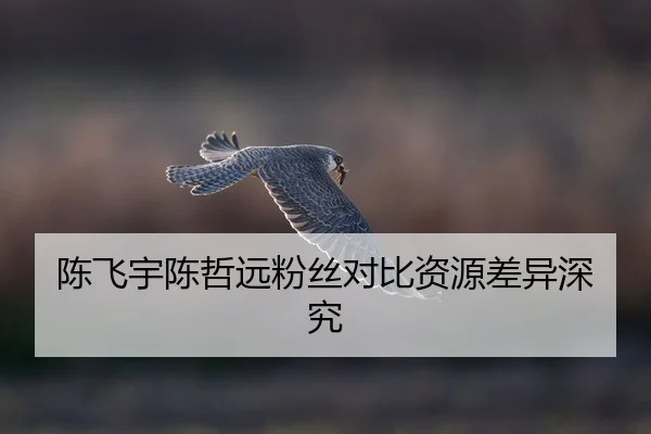 chen-fei-yu-chen-zhe-yuan-fen-si-dui-bi-zi-yuan-cha-yi-shen-jiu-2-717.jpg